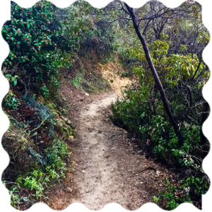Local treks Local treks in Goa