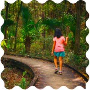 A child walking on a wooden path in the woods at India Yoga School.