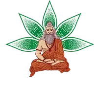 India Yoga School Logo