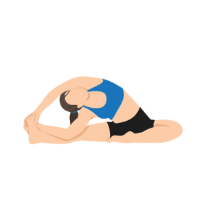 Janu Sirsasana Pose