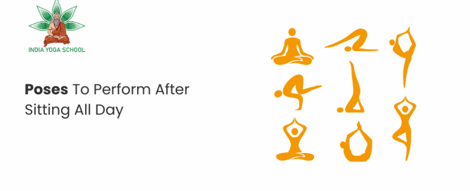 5 Yoga Poses After Sitting All Day